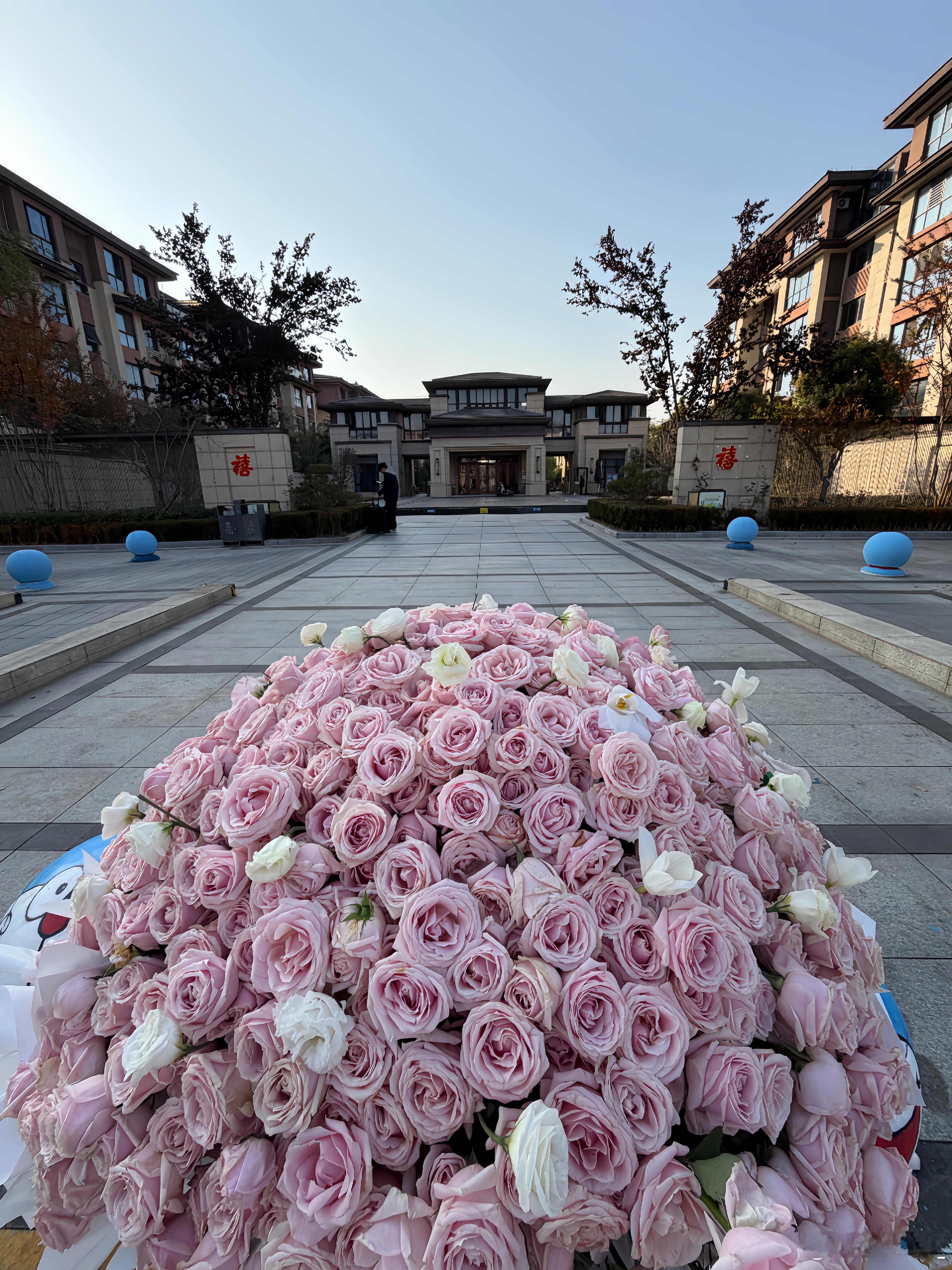 龟我把花放在了滨湖桃源门口永城的宝贝可以来拿fafa也希望大家可以幸福☺️