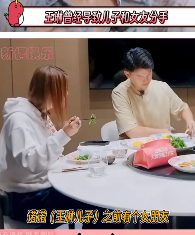 原来王琳曾经搅散了儿子的女朋友…难怪她儿子现在不理她，不和她生活，一个人在国外也