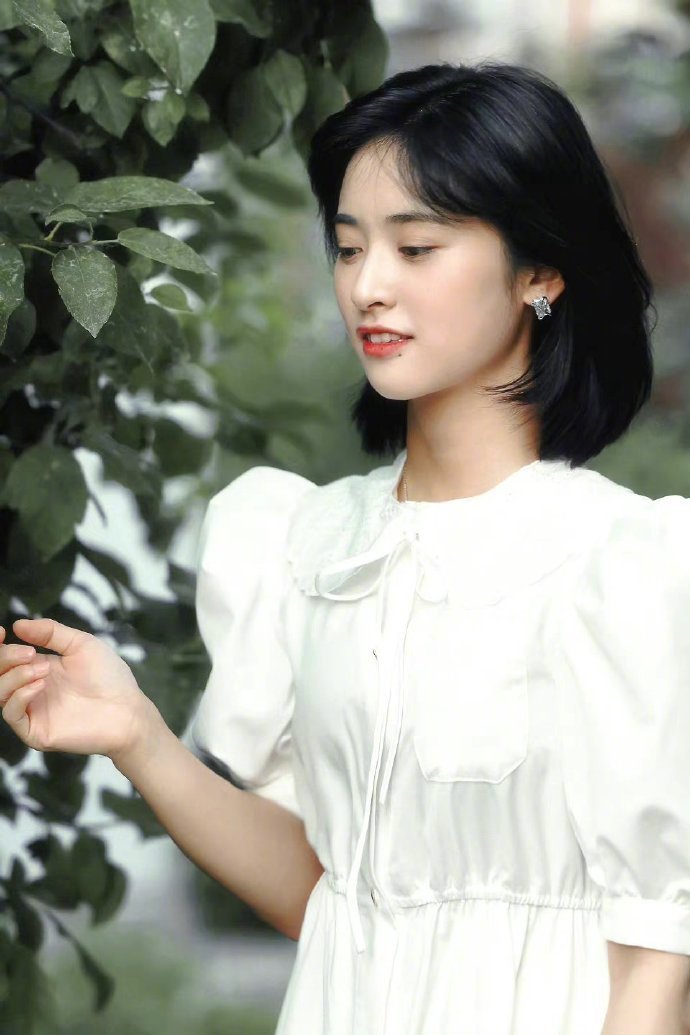 沈月白月光