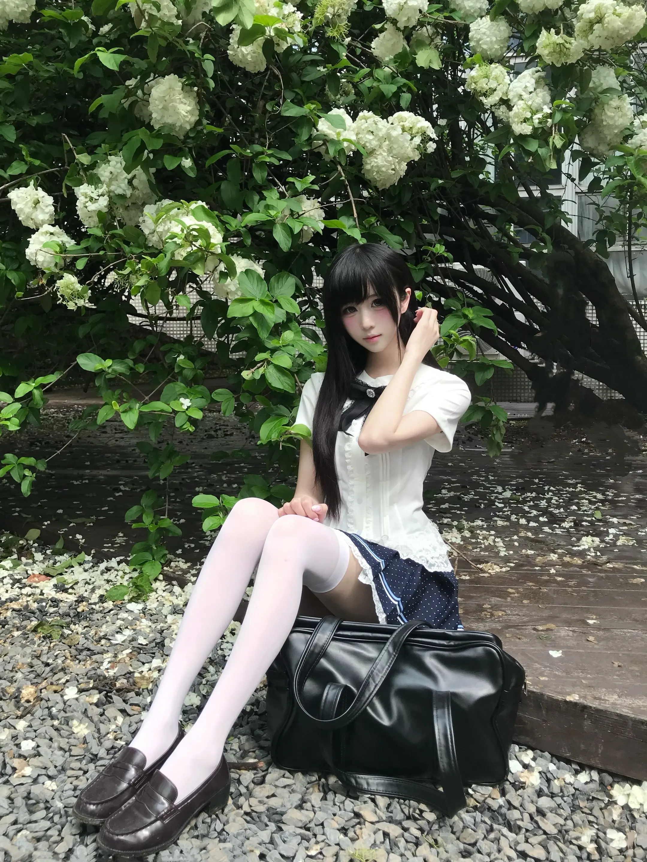 三叶草的另一片叶子 掉落在你的世界