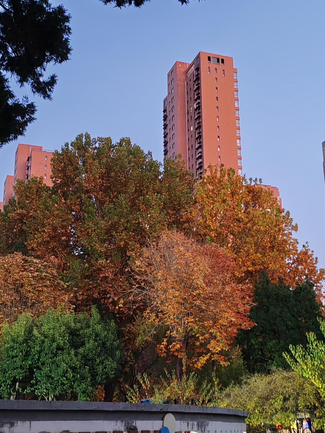 俗话说“七十三，八十四，阎王不叫自己去”。五六十岁是心梗、脑梗的高发阶段。在此期