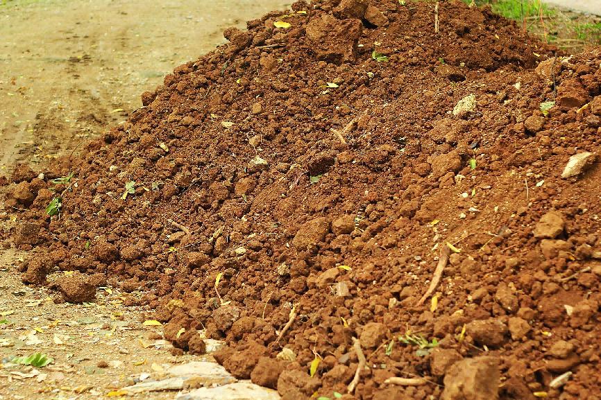 2026或现50年来最严重粮食危机，中国已全面提前布局联合国粮农组织3月中旬