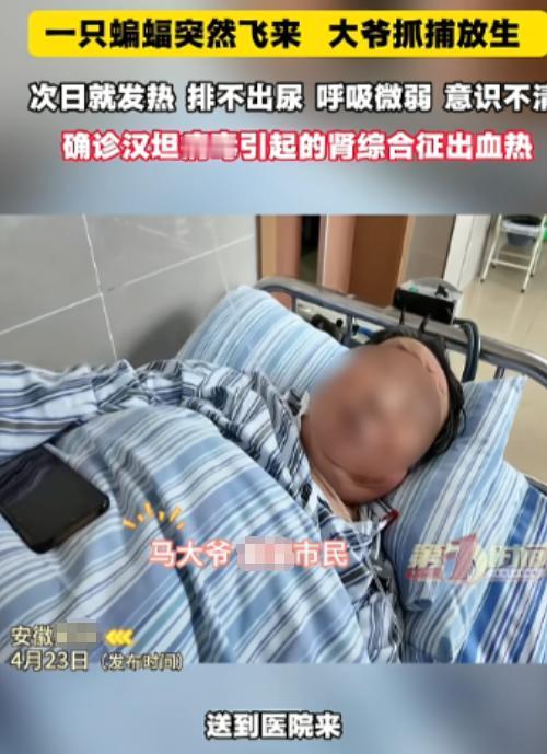 “悲剧还是发生了！”近日，安徽，一位大爷发现家中进了只蝙蝠，他伸手就去抓，可蝙蝠