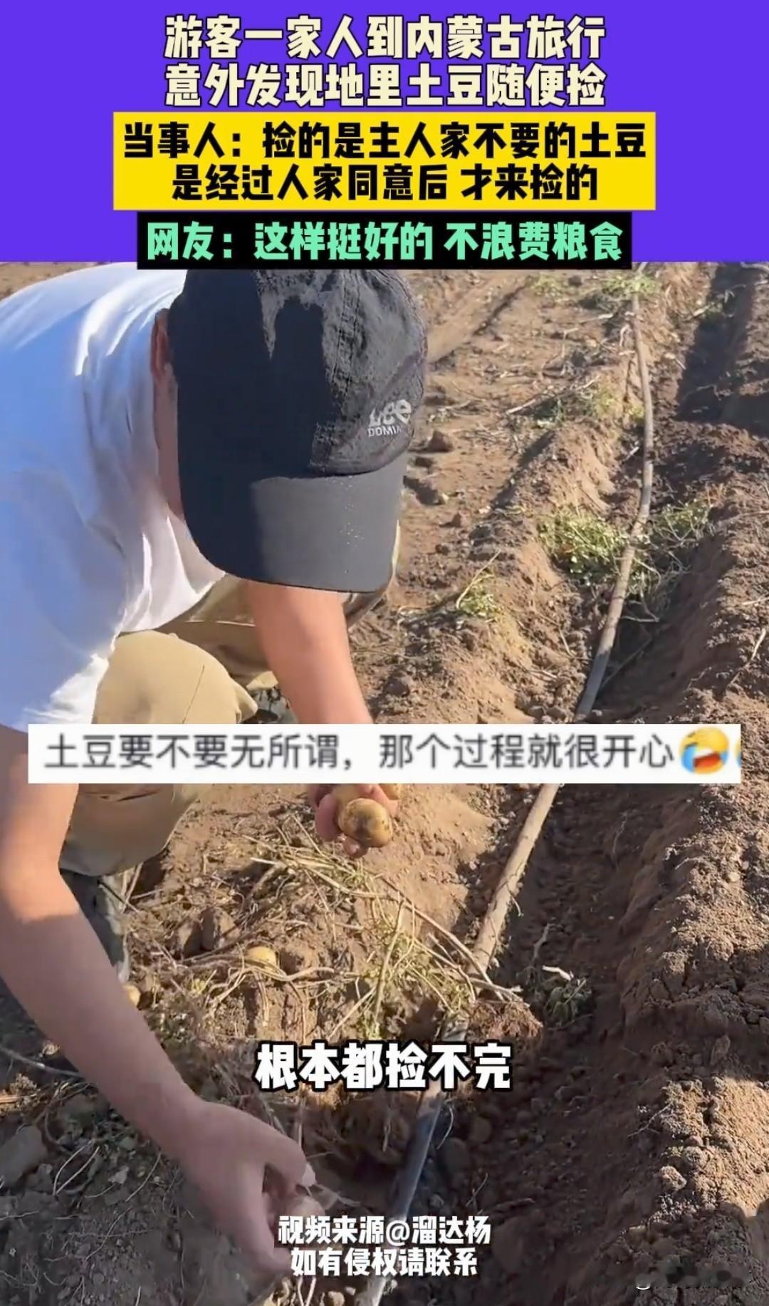 谁懂啊！去内蒙古旅游还能捡土豆！10月3号，有游客一家人去内蒙古玩，意外发