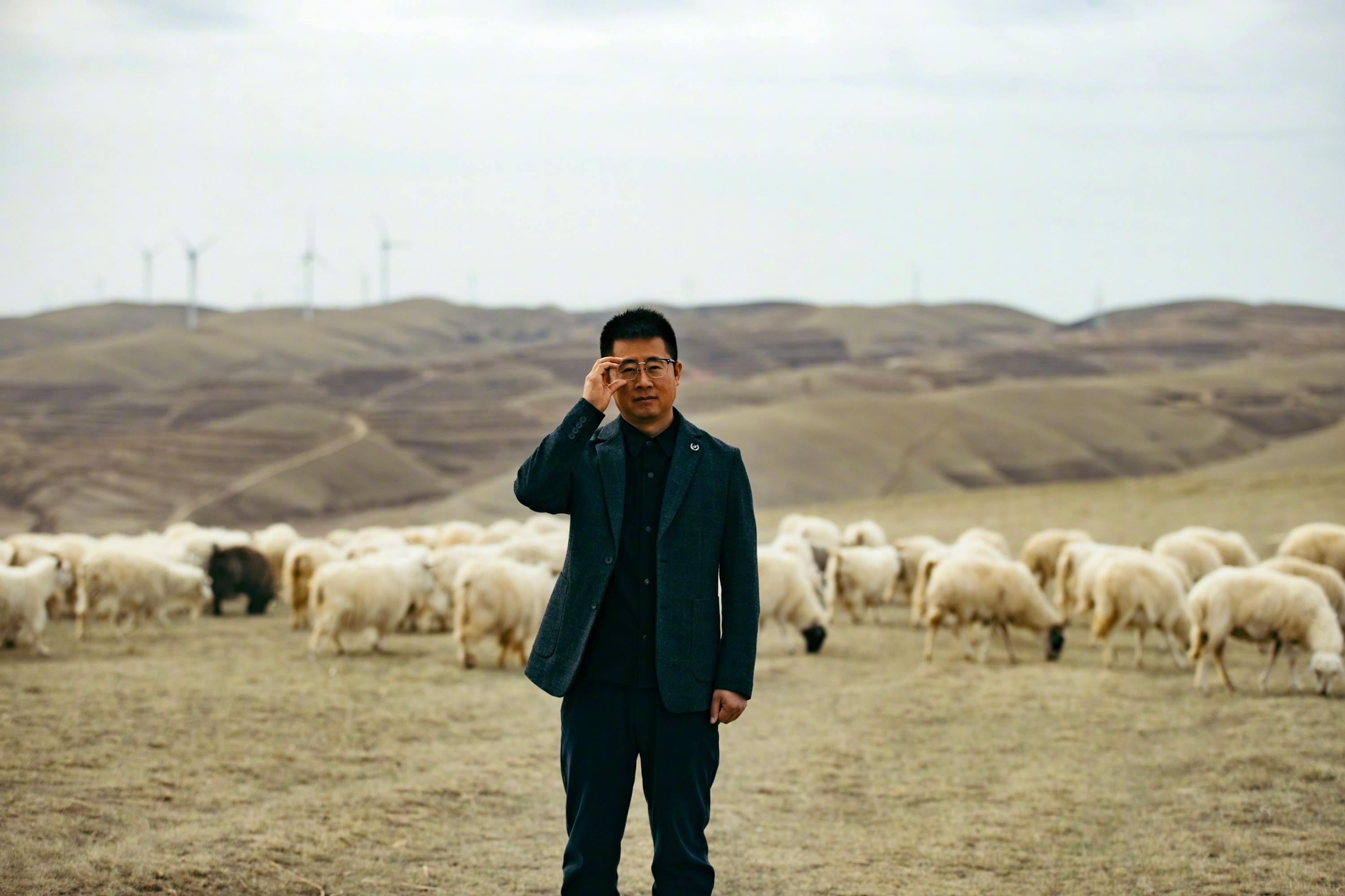 【甘肃杂交羊肉为啥好吃不膻】在甘肃环县，一场由新农人引领的产业变革正在发生。大学