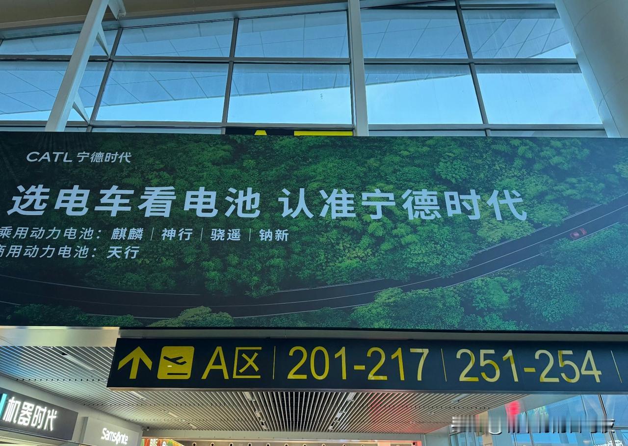 这电池名字也太多了吧