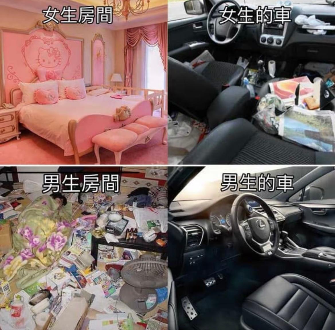 可以坐我车但不能突然坐我车真实