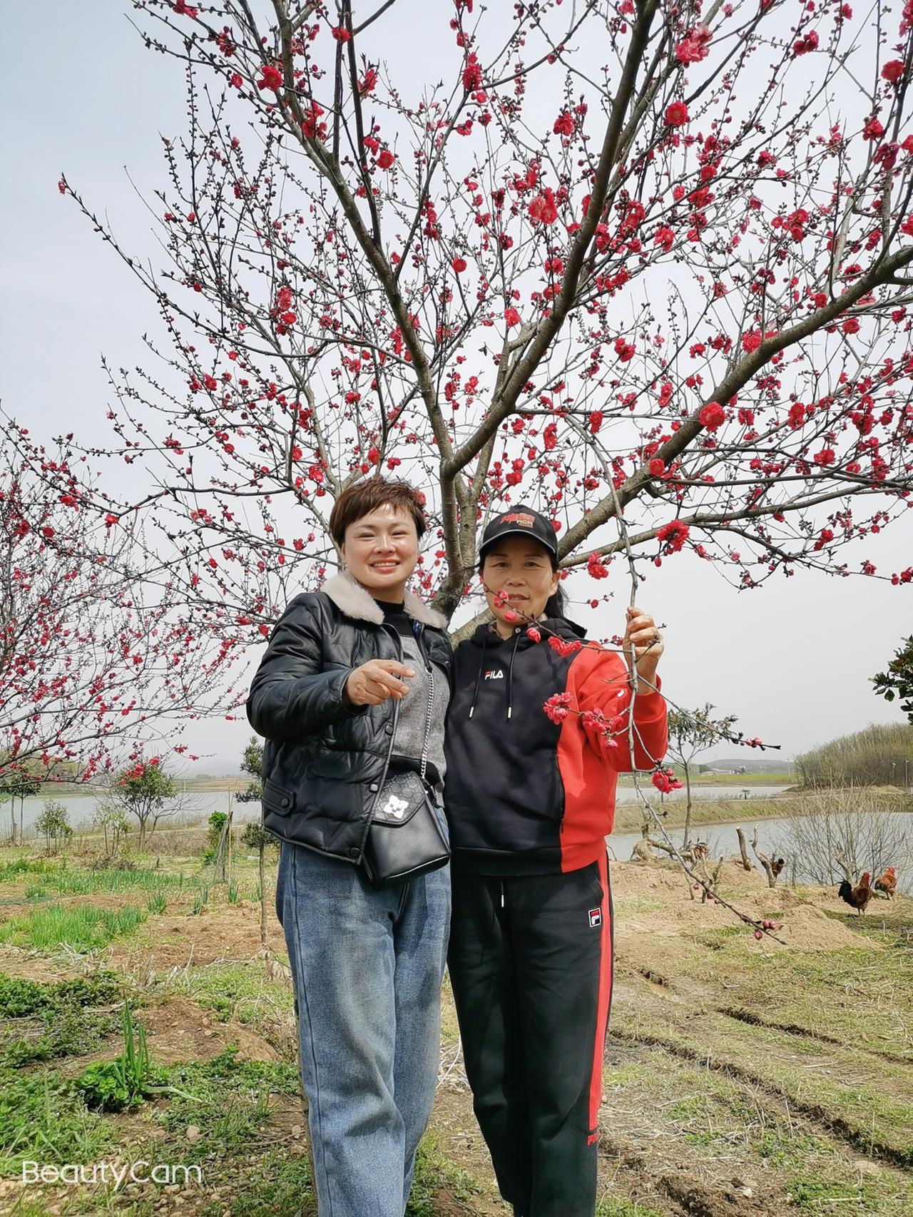 是退休还是延迟？我在内心挣扎，摇摆不定。不退吧，家里即将迎来新的成员需要我，退休