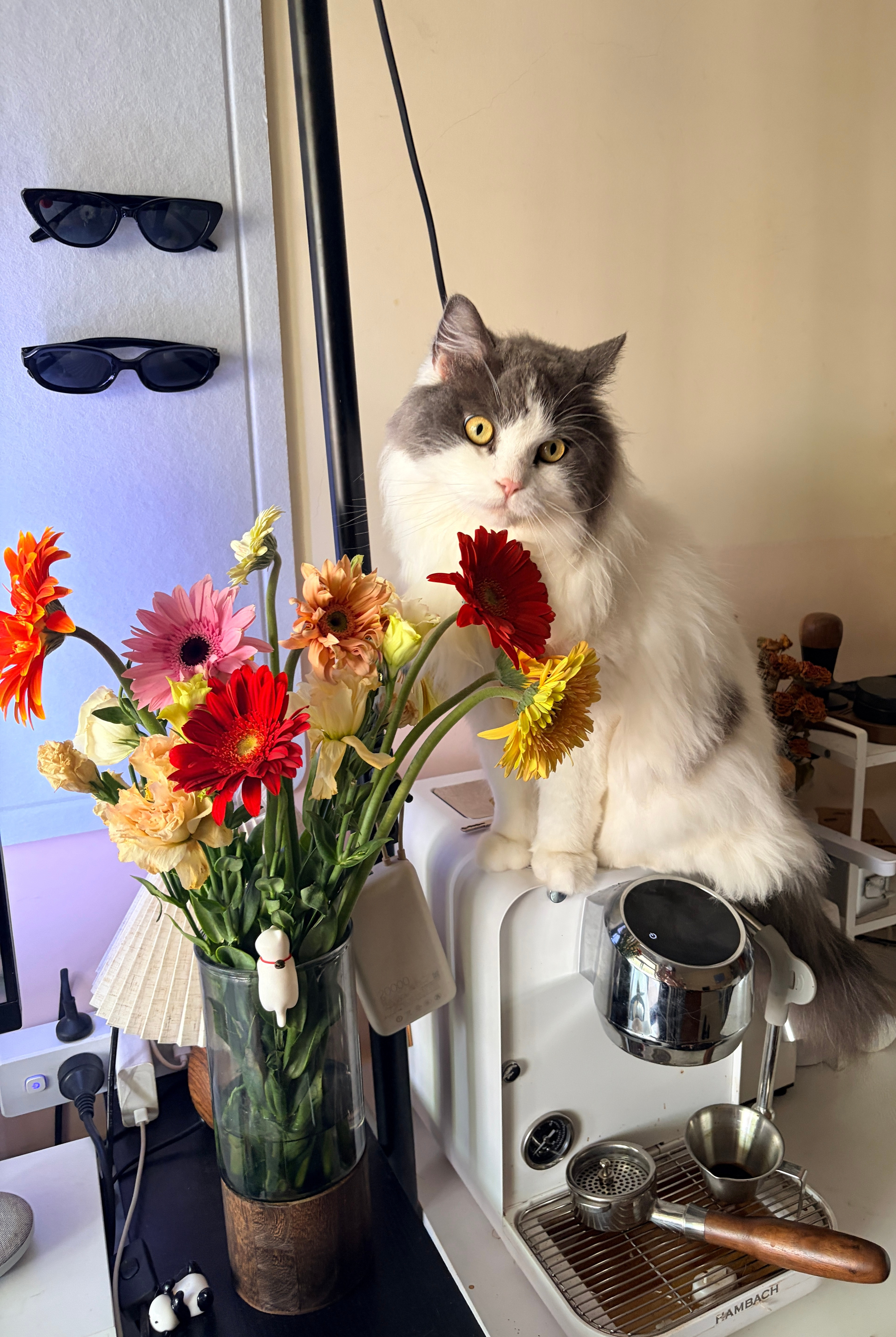 它说它想跟花合照一张，拍完第一张它说它怎么只有花？然后跑到了花旁边又要求我拍了一