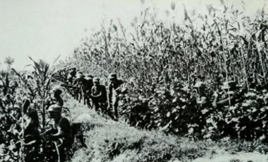 1941年冬，王家屯村外，9名八路军哨兵守护300两黄金，不小心瞌睡时，300名