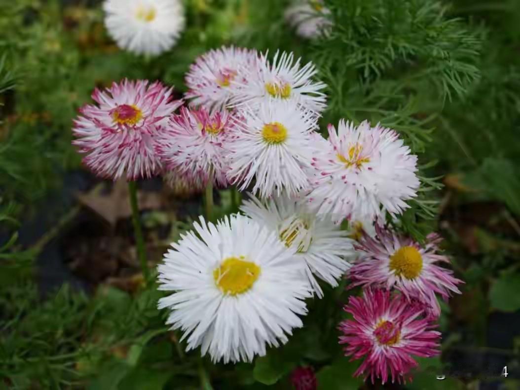 胃癌后的心得体会……转眼间，抗癌已经两年半，有人说，抗癌就是一场马拉松，而我看