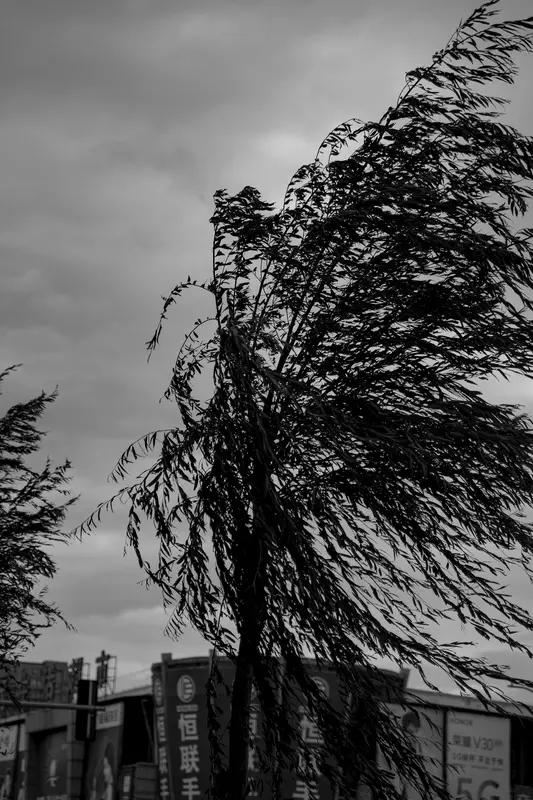 2026年2月21日，山西大同的游客遭遇了一场“噩梦”。强风加沙尘的双重极端天气