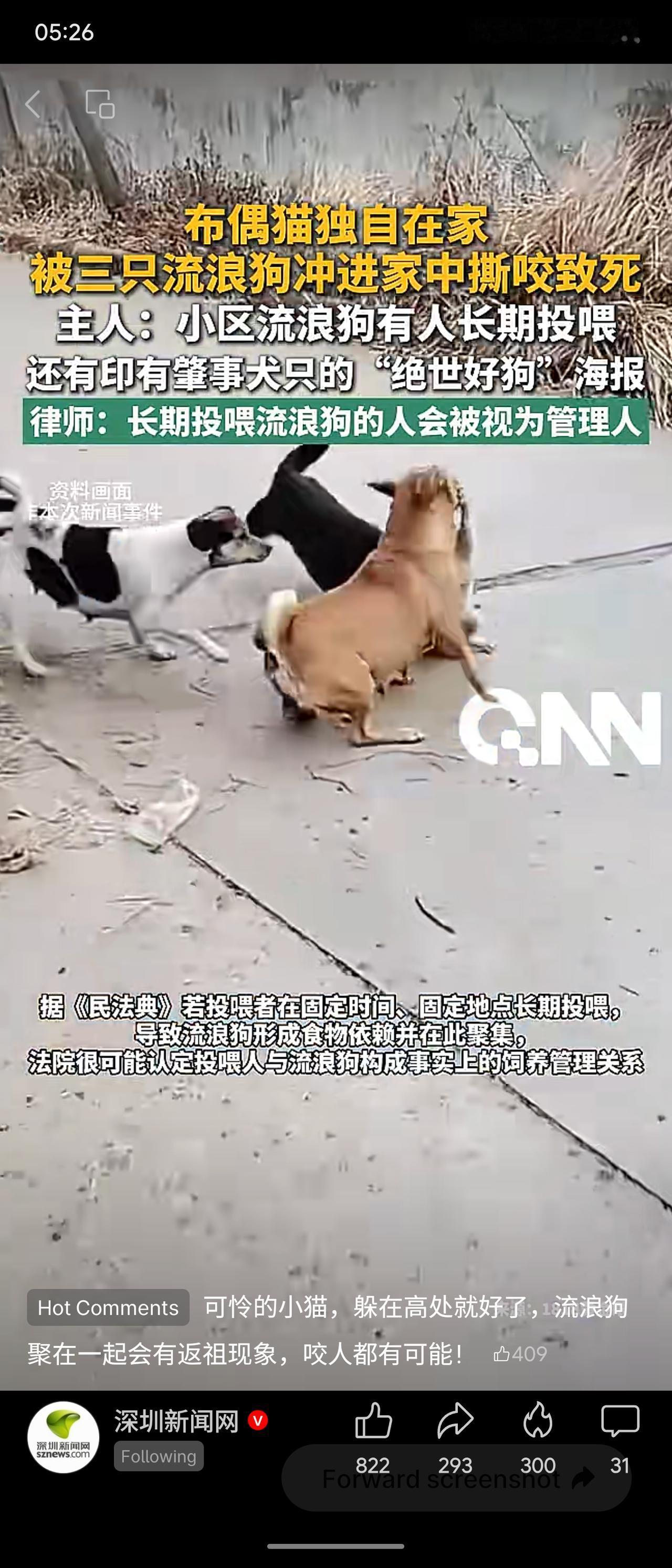 杭州一布偶猫独自在家时，被三只流浪狗闯入撕咬致死。主人发现小区有人长期投喂，形成