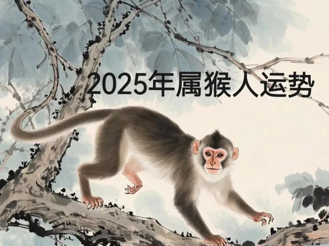 属猴的家人们看过来！2025年你的专属运势强势来袭！事业运简直开了挂！「天