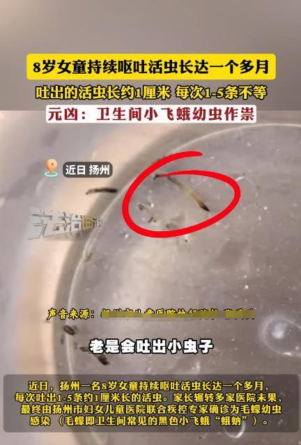 “细思极恐！”江苏扬州，8岁小女孩身体不舒服，连续呕吐一个多月，家长竟从呕吐物中