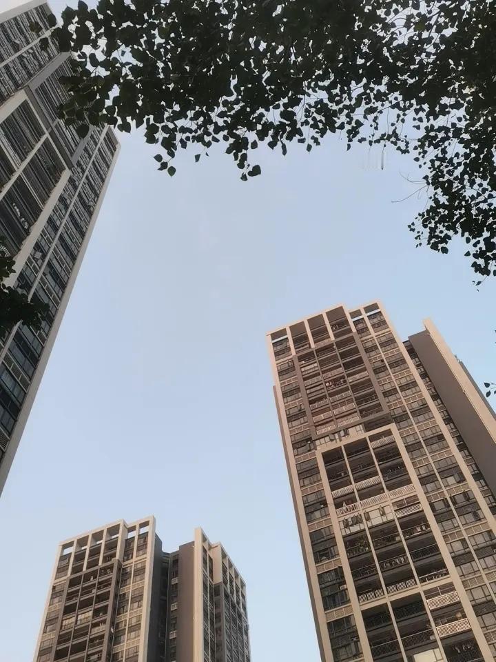 蒙古人说的一点都没错，说实话，对于蒙古人形容我们的那一句话，我一直不以为然，直到