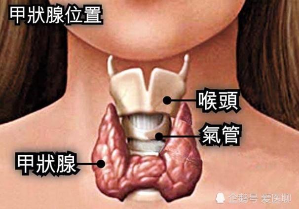 近年来,甲状腺肿大的发病率越来越高,很多患者深受其害,那么甲状腺