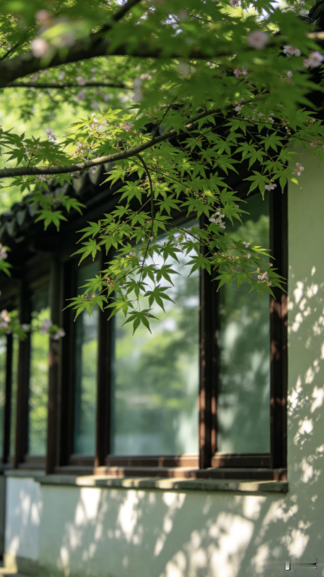 一位退休大妈说：“千万别小看每月2000多块的退休金。年轻人或许觉得这点钱微不