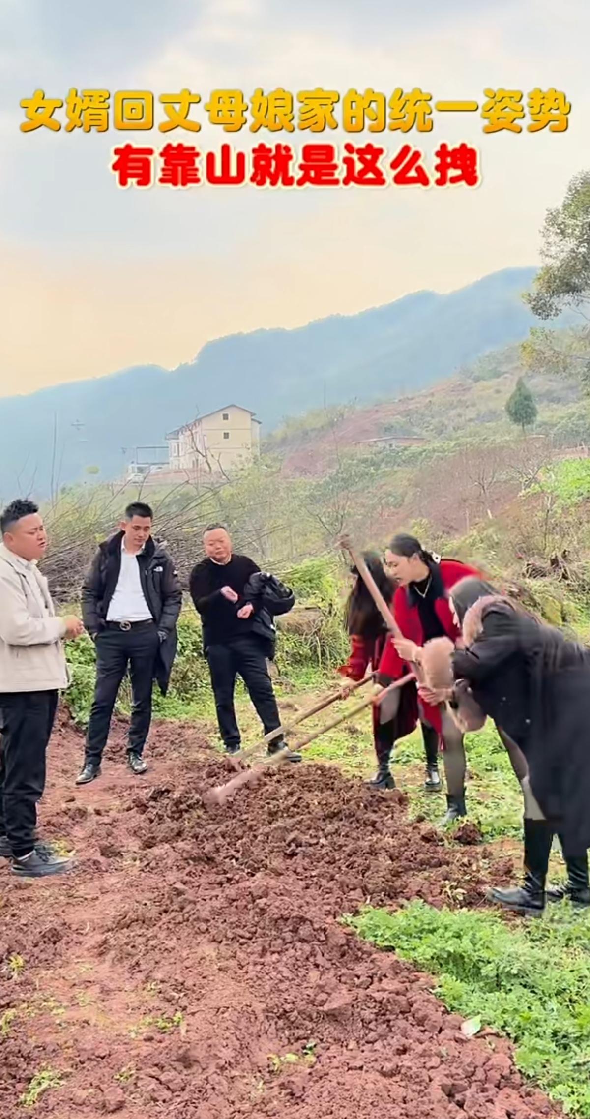 回丈母娘家干活，这画面真的太真实了。地里翻土，三个女婿站在田埂边，揣着手闲聊