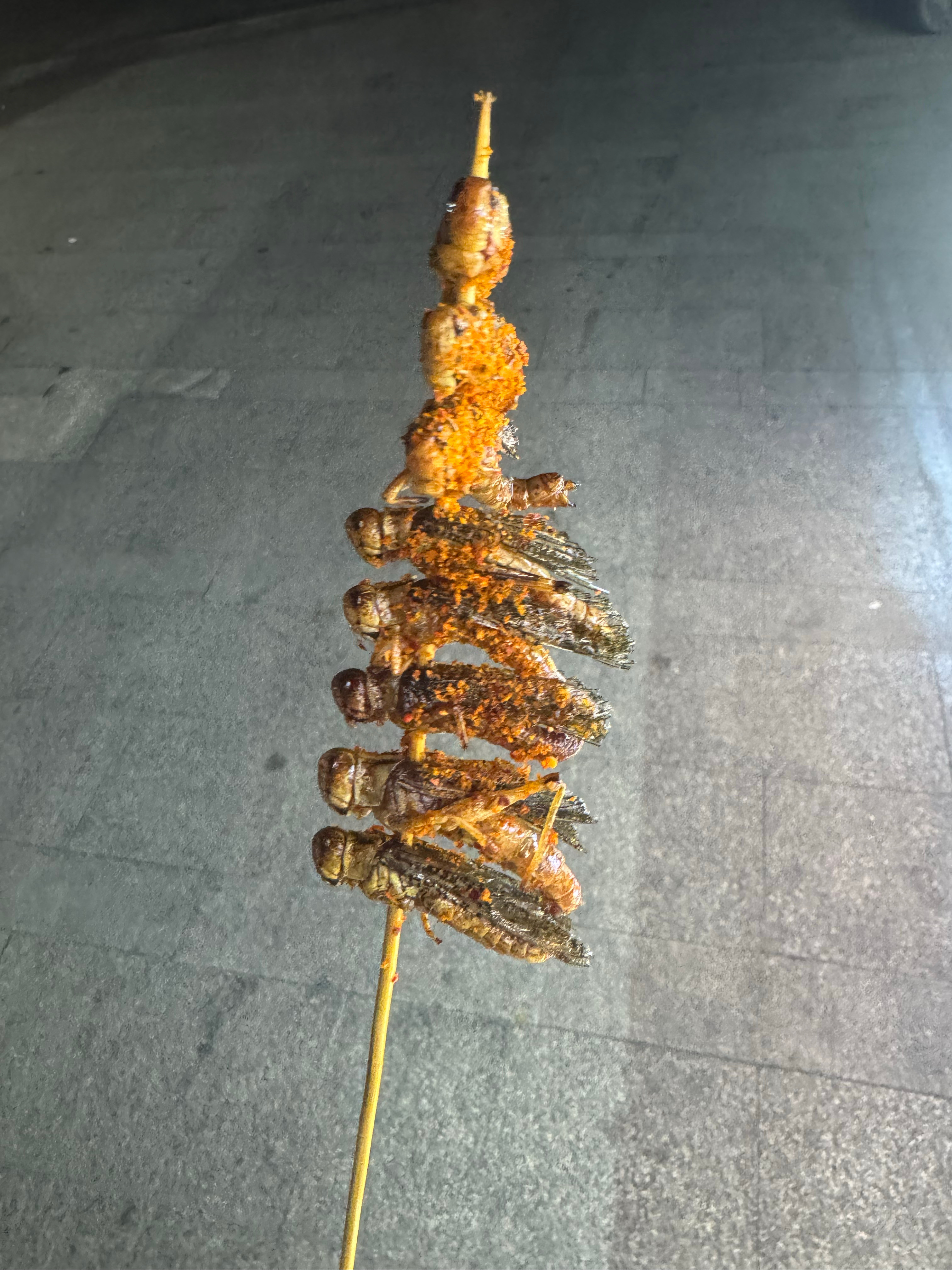 分享日常有用不，炸蚂蚱买肉夹馍的时候看到的，很好奇好不好吃，有点吓人，但是我也不