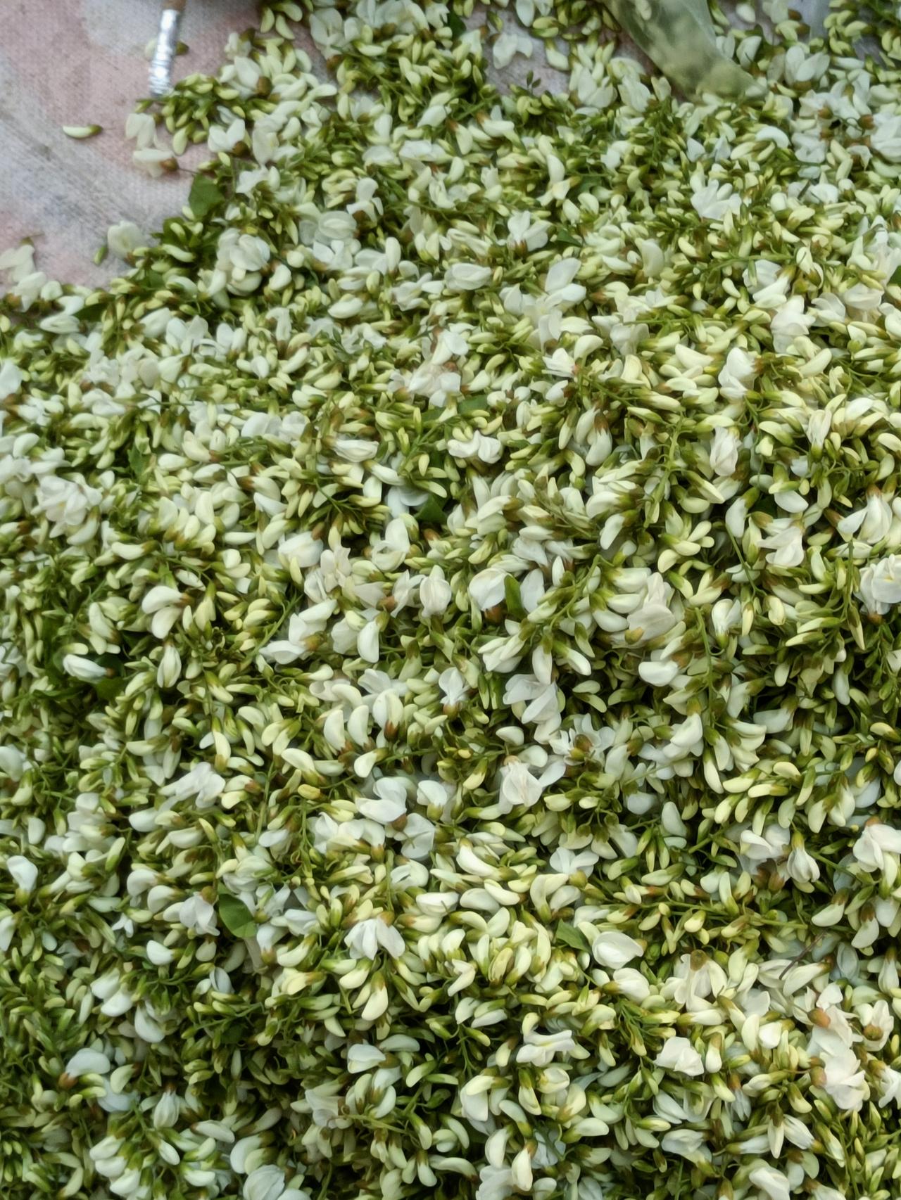 只有北方人才知道这种美食的含金量吧！最近西安天气正好，又是到了吃槐