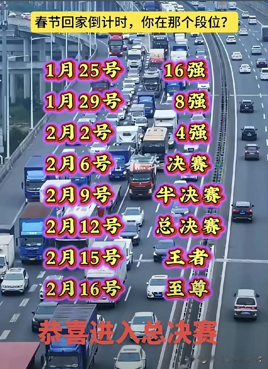 春节回家段位图，我直接青铜干到至尊！刷到这张图我直接笑出鹅叫！谁把春节回