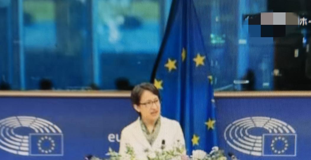欧盟允许台湾地区副领导人非法在欧盟议会演讲，开了一个极其恶劣的先例