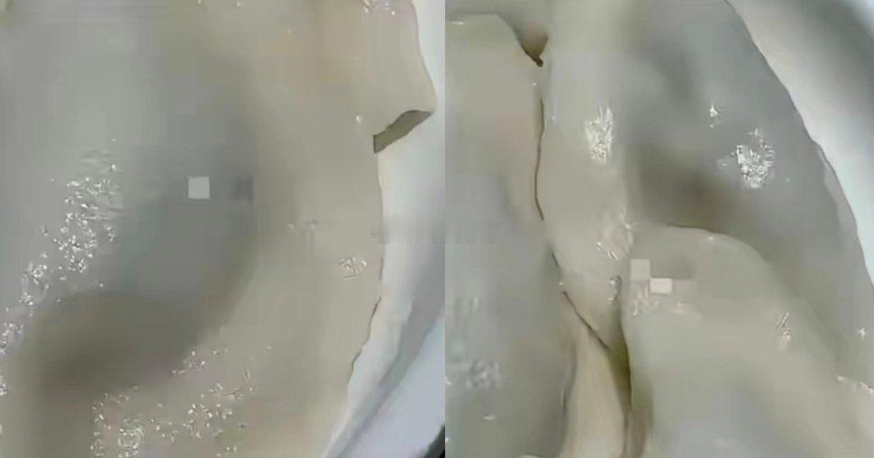 看来预制菜流行还是有道理的