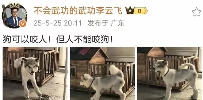 比亚迪负责人发了一组图片，意味深长，实话讲，我觉得这是逼得没有办法了。我一直