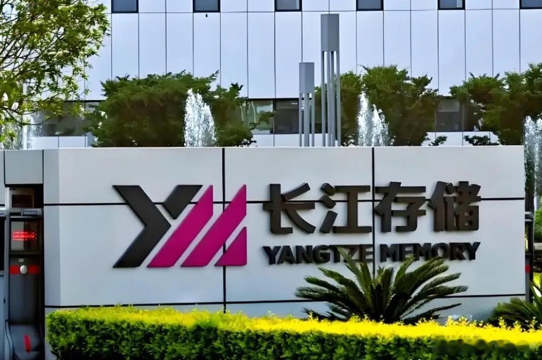 长江存储十大概念股（A股）。1、养元饮品，总部位于河北省衡水市。通过子公司泉泓投