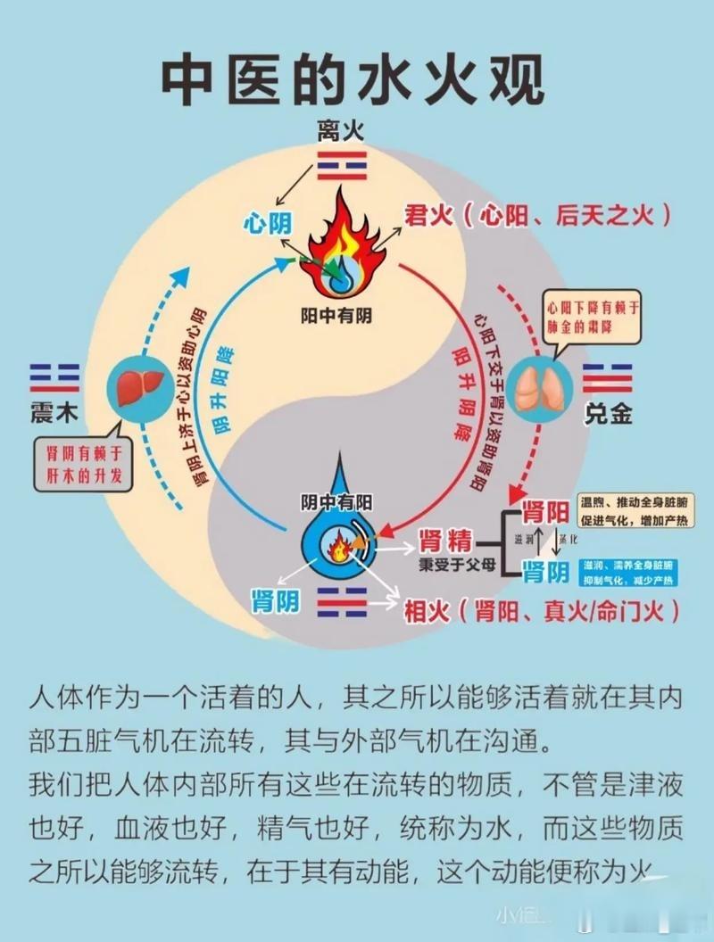 阳降阴升·一气周流口诀天地本然阳升阴降，人身颠倒阳降阴升。心火为阳宜下潜，肾水为