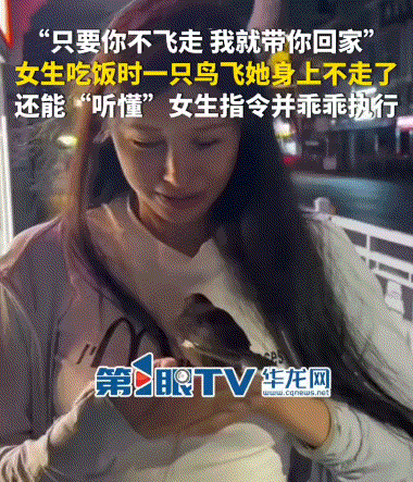 万万没有想到，江西修水县，一女子和朋友一起出去吃饭，不料吃饭之时，一只鸟突然飞到