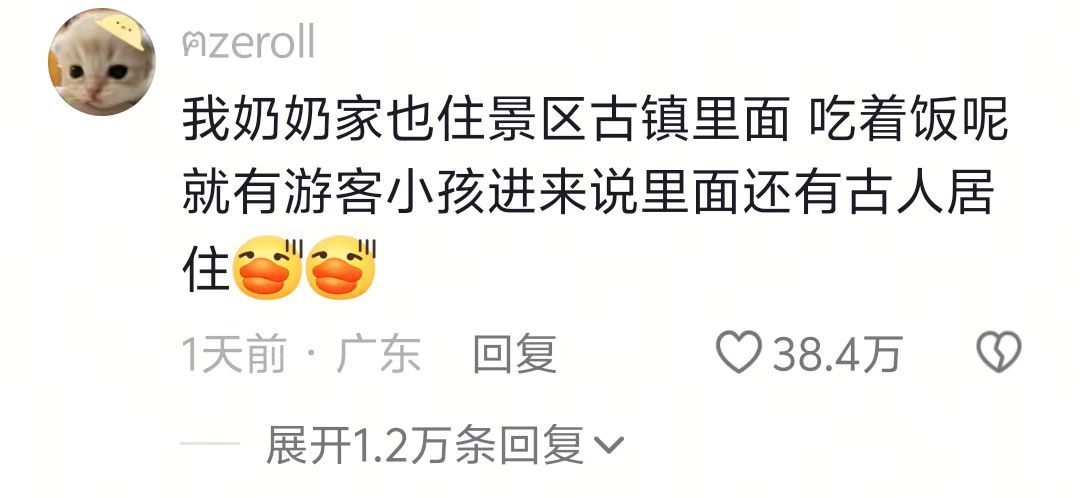 正在吃饭的主人看到进来的游客😂