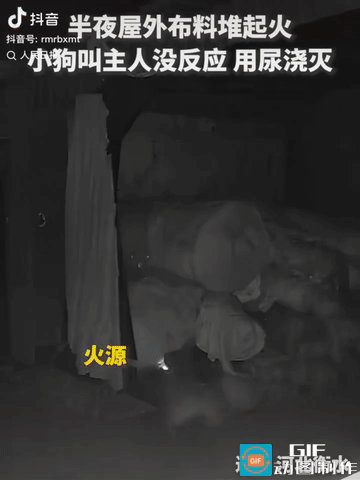 “上人民日报了!”河北衡水，半夜，一户人家布料堆突然起火，家中狗狗猛然警觉，“汪