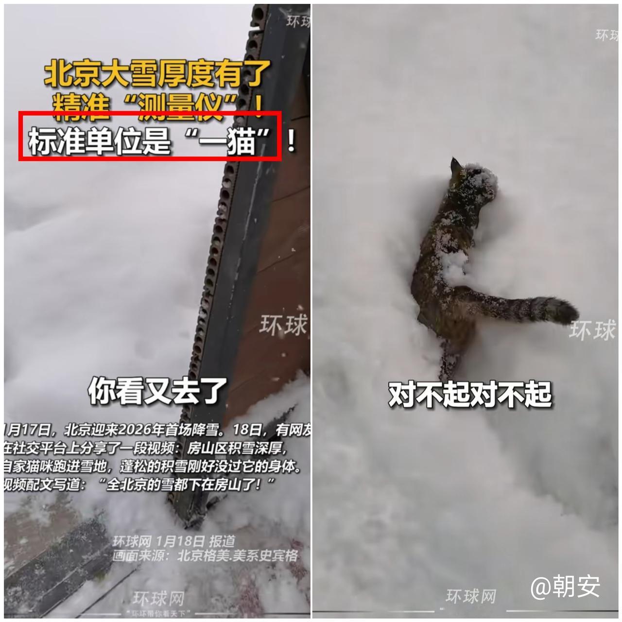 北京这场鹅毛大雪下得有多认真？气象部门靠激光、超声波传感器精准测雪深，网友却