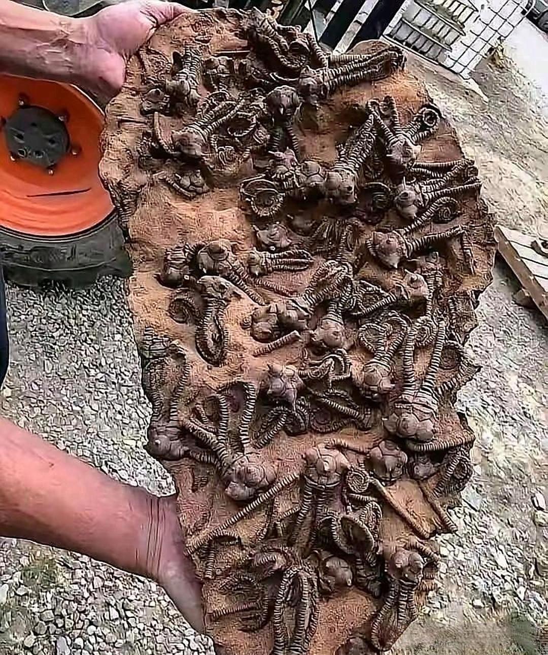 朋友家挖地基，挖出来这个东西，有知道是什么的吗？