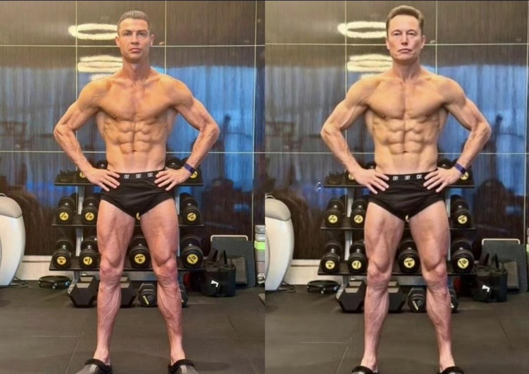 健身和健美有什么区别吗？