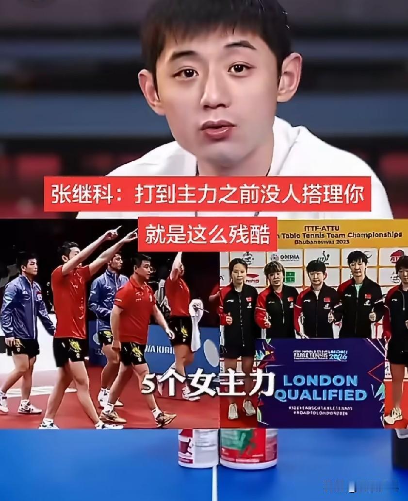 张继科:竞技体育真的这么残酷啊，资源肯定是先紧着主力队员来的……我在队里打主