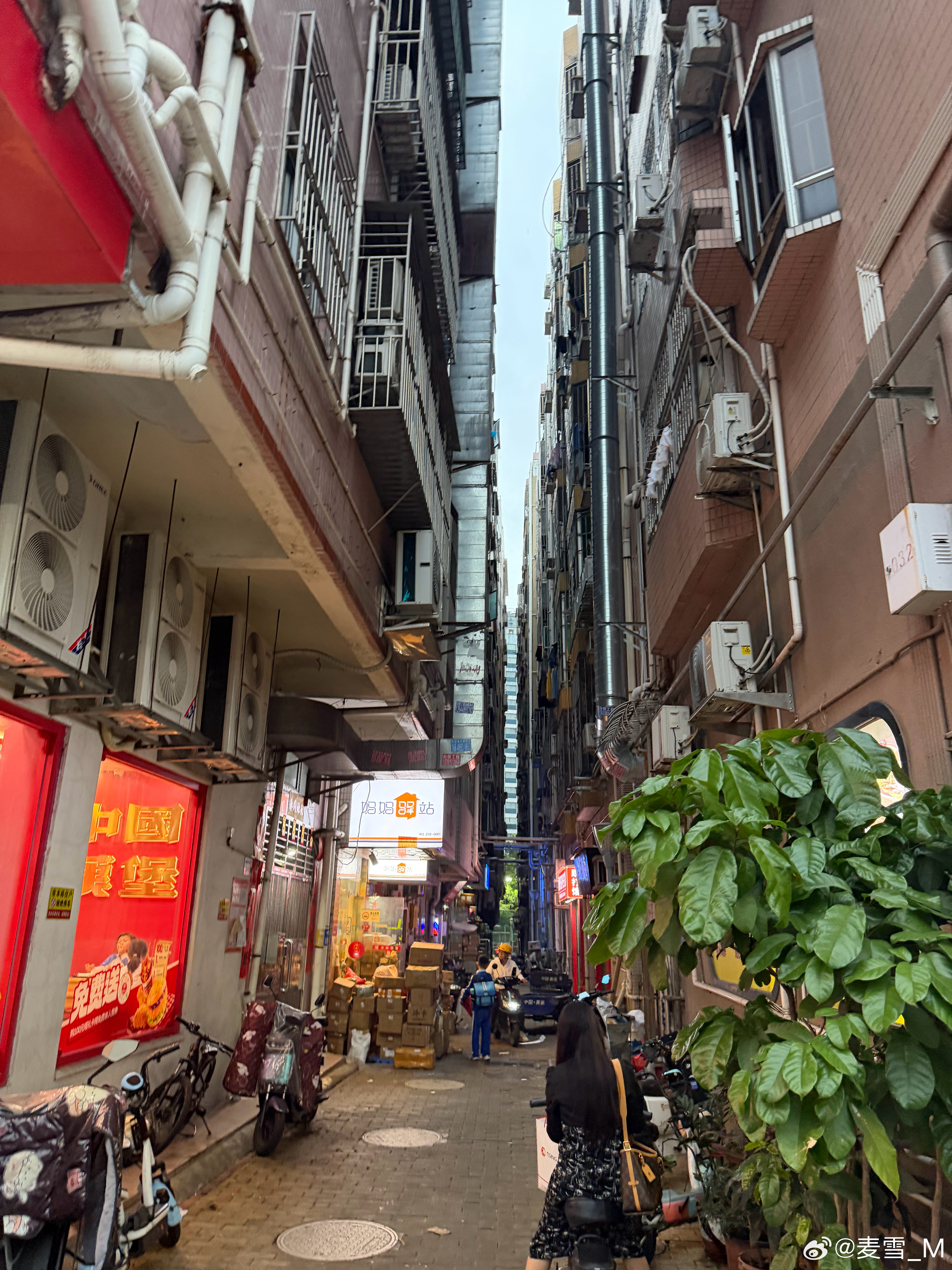 十几年没来过深圳了，深圳给我一种混乱中又很有秩序的感觉。电瓶车和行人共用人行道，