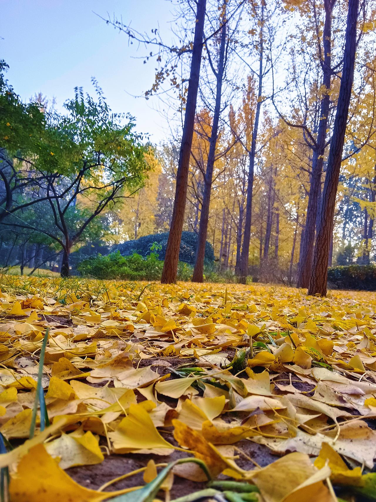 “干什么”用你的家乡话怎么说哈哈哈哈哈，我们这家乡话是“干嘛”
