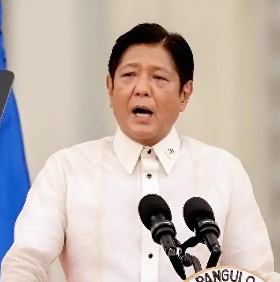 菲律宾这场大贪腐，其实是政治家族的老套路，小马科斯一家掌控着关键权力，他自己是总