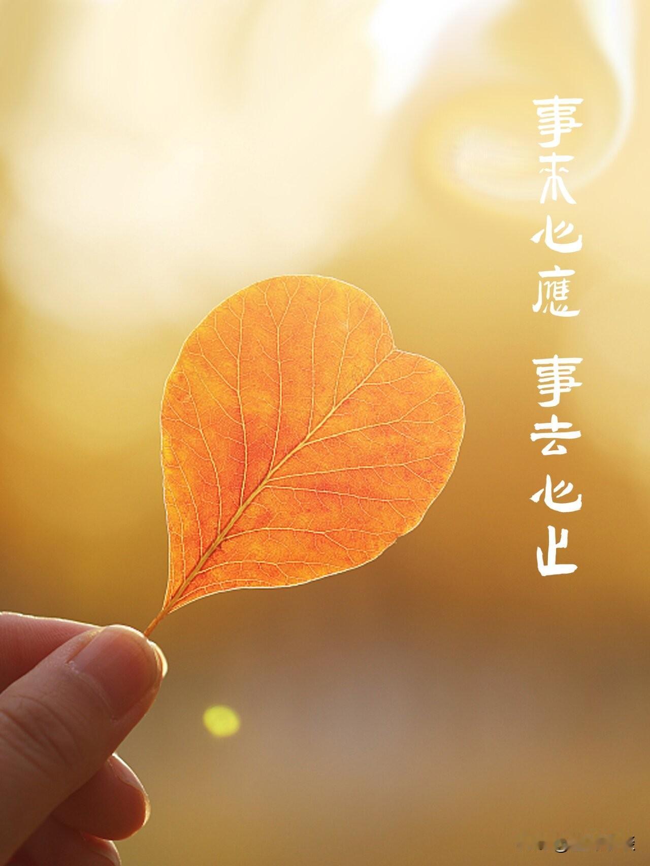 人到晚年才明白：所有意难平，终会归于平静，别再为难自己夜里睡不着，翻来覆去