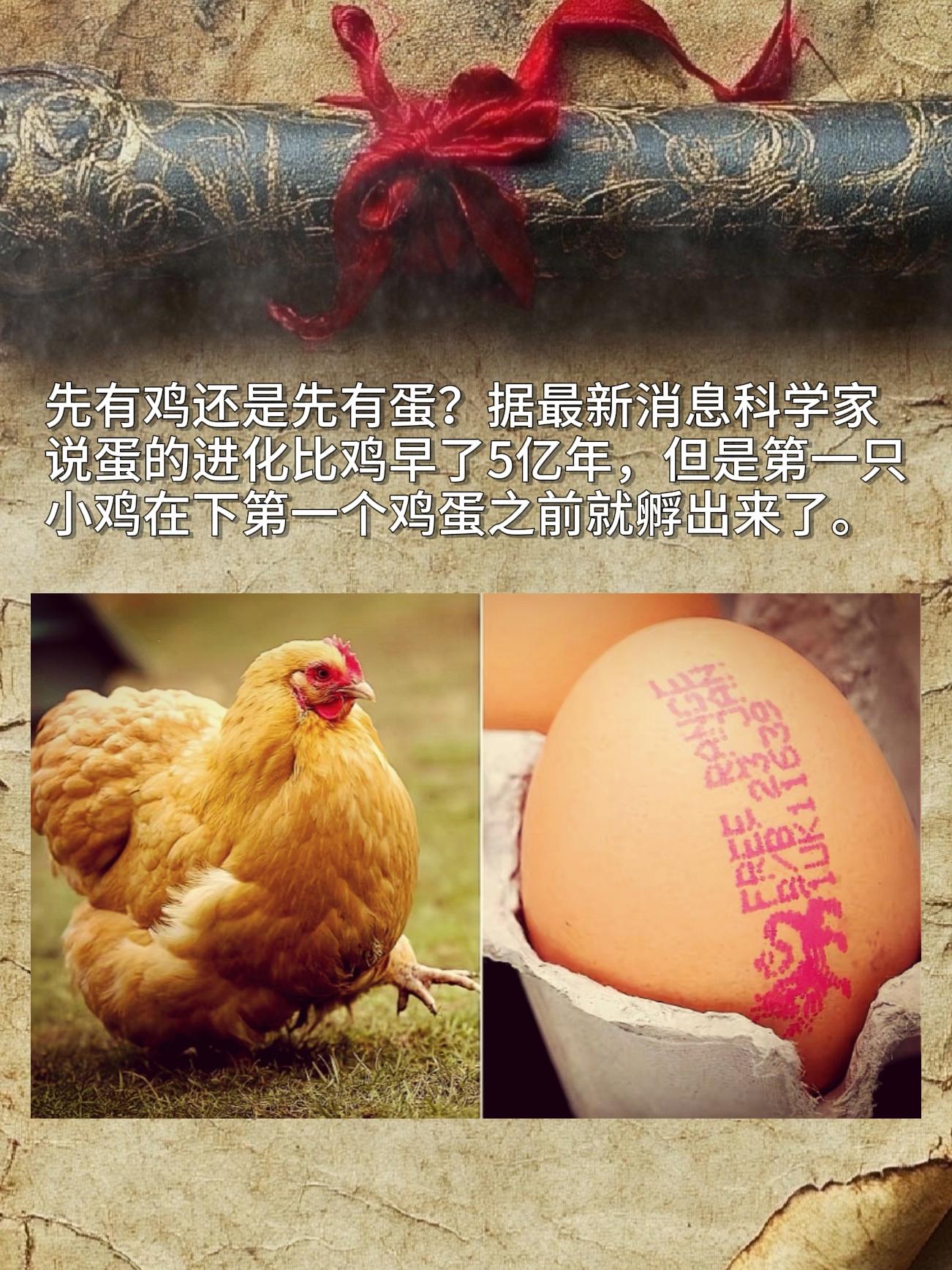 先有鸡还是先有蛋？据最新消息科学家说蛋的进化比鸡早了5亿年，但是第一只...