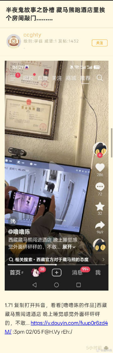 艹。。。藏马熊跑酒店挨个敲门可还行。。。