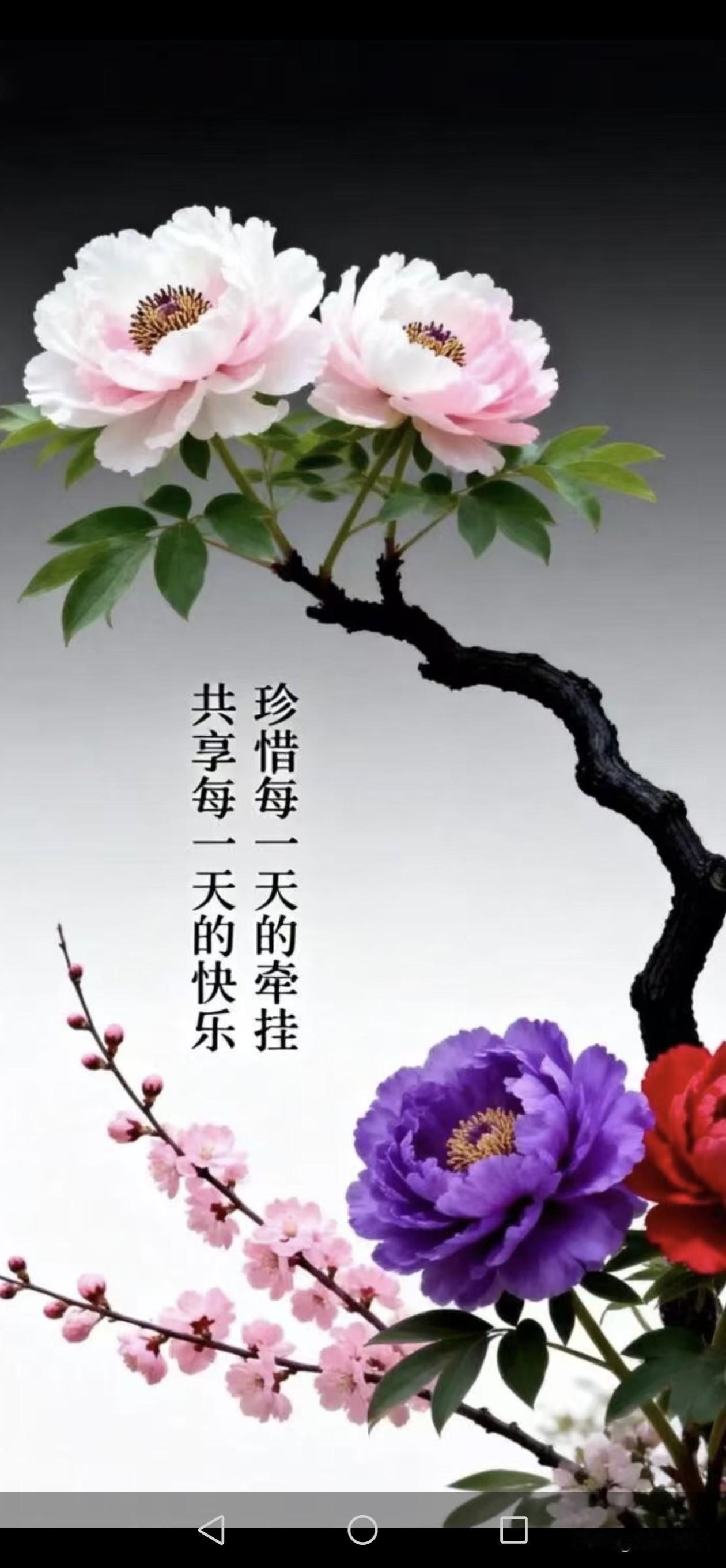 《西江月·日常寄愿》快乐时钟轻摆，生活满是欢融。清晨祝福寄微信，愿你