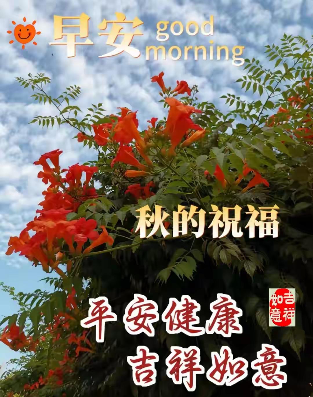 晨光刚漫过窗台，风裹着晨露的软意吹进来——愿你睁眼时没有困意，早餐有热粥或脆面包