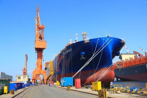 别被韩企迷惑了！新西兰6.7亿学费认清现实，靠谱造船还得看中国别再被“韩企造