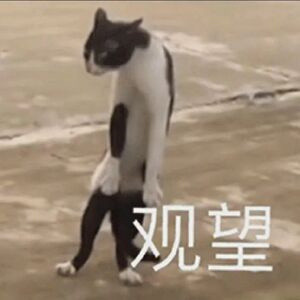 当汉堡遇上肉夹馍，无疑是中西美食的激烈碰撞。但论及口感与风味，肉夹馍更符合我们的