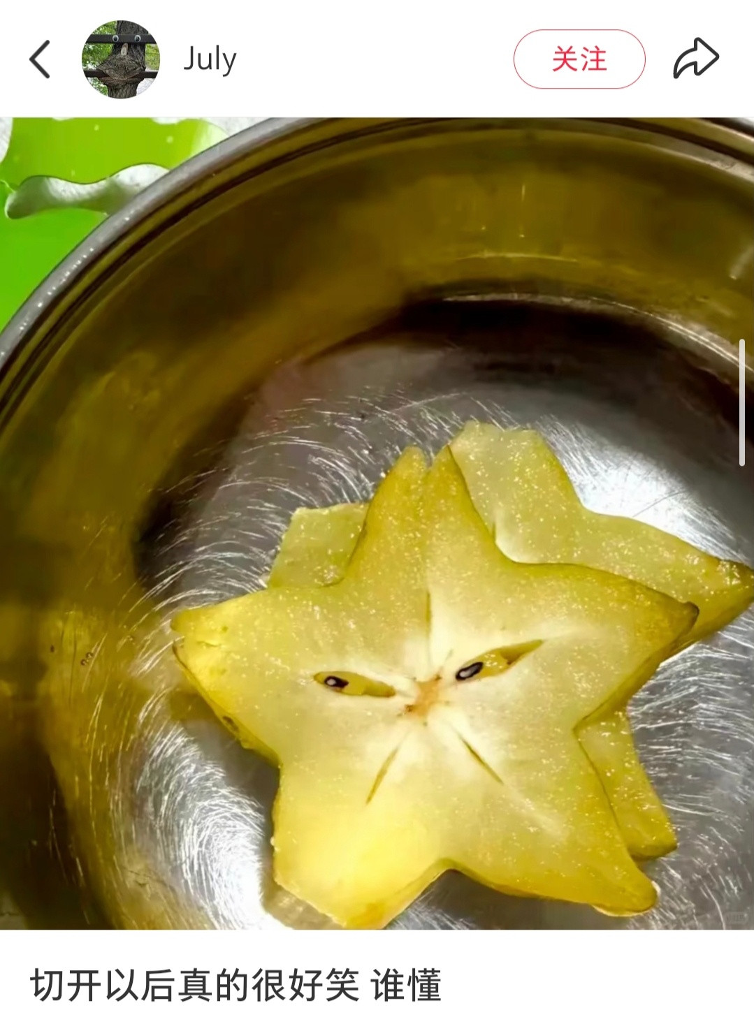 切开以后真的很好笑谁懂