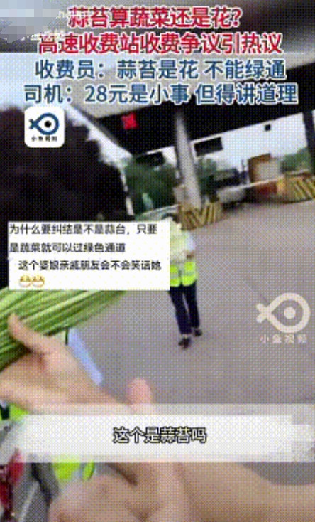 “笑不活了！”四川峨眉，蒜苔算花还是菜？高速收费站内吵翻天！收费员咬定蒜苔是花，